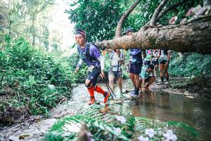 BIB: 
                            <button type="button" onclick="openModal(25452260)" class="btn btn-primary btn-sm float-right btn-popup" data-toggle="modal" data-target=".modal-high-quality">
                        <i class="fas fa-shopping-cart"></i> Add to Cart
                    </button>
                                            <button type="button" onclick="isThisMe(25452260, true)" class="btn btn-success btn-sm float-right btn-popup btn-isme hidden" data-toggle="tooltip" data-placement="bottom" title="นี่คือรูปของคุณใช่ไหม คลิกที่นี่เพื่อเอาเข้าอัลบั้ม">
                        <i class="fas fa-plus"></i> Add to album
                    </button>
                    <button type="button" onclick="isThisMe(25452260, false)" class="btn btn-warning btn-sm float-right btn-popup btn-isnotme hidden">
                        <i class="fas fa-ban"></i> Remove from album
                    </button>